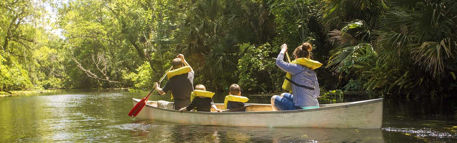 Canoeing on the Near by Manistee River